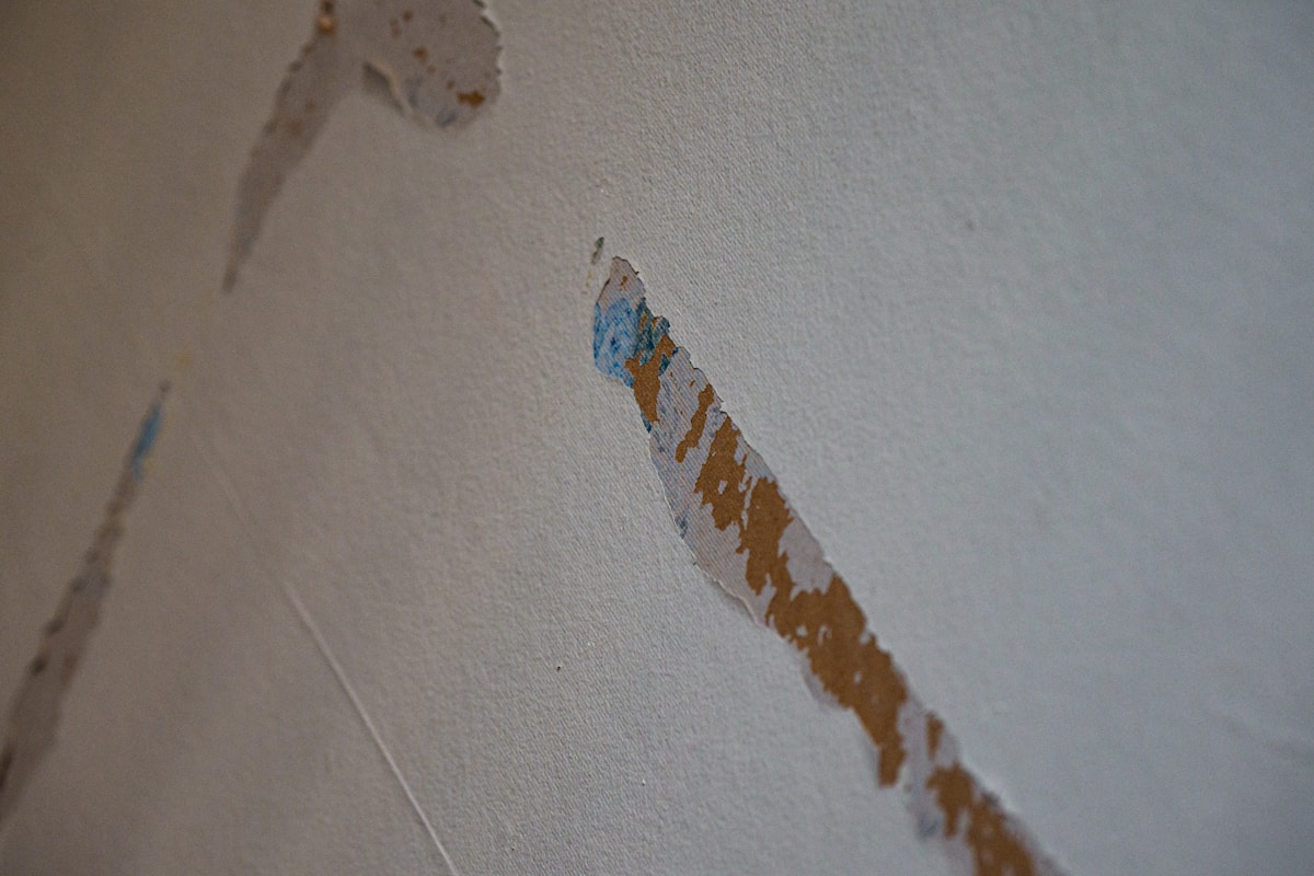 Water Extraction service in Omaha, NE